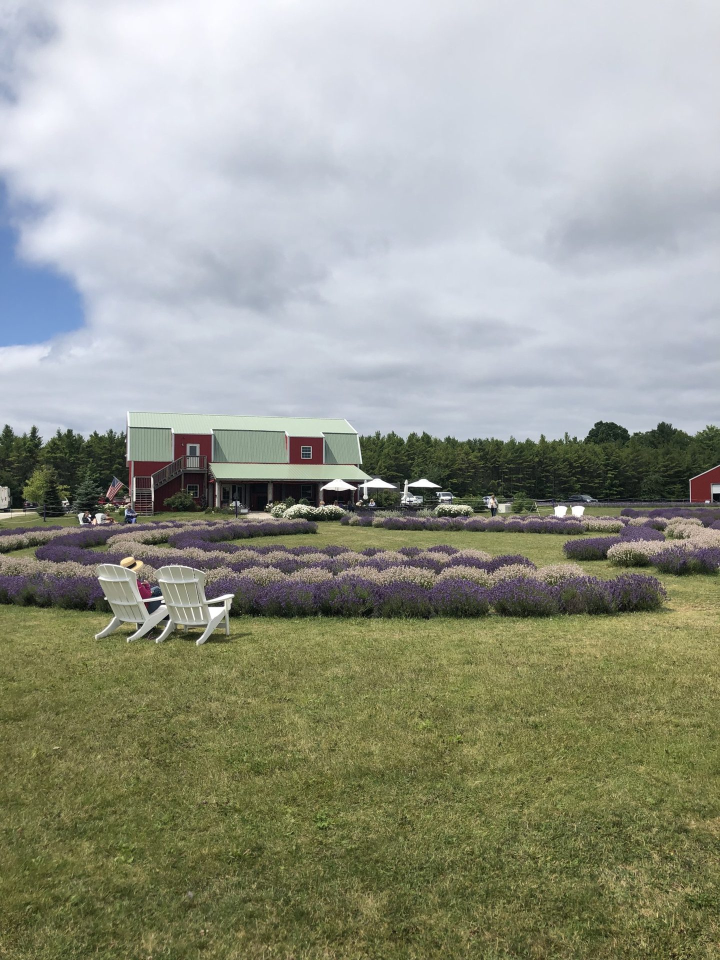 Fragrant Isle Lavender Farm (3 of 6)