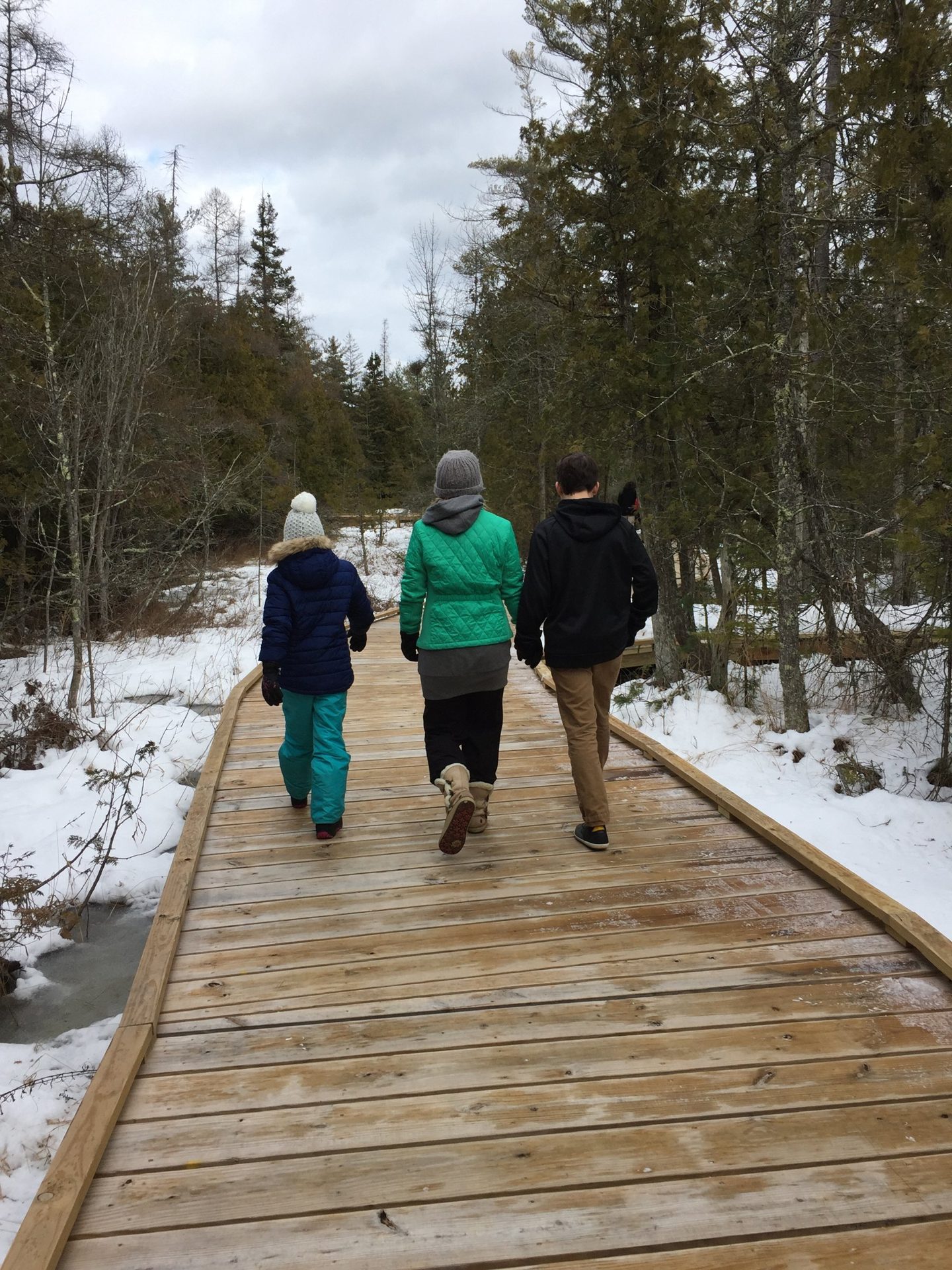 The Ridges Sanctuary (3 of 5)