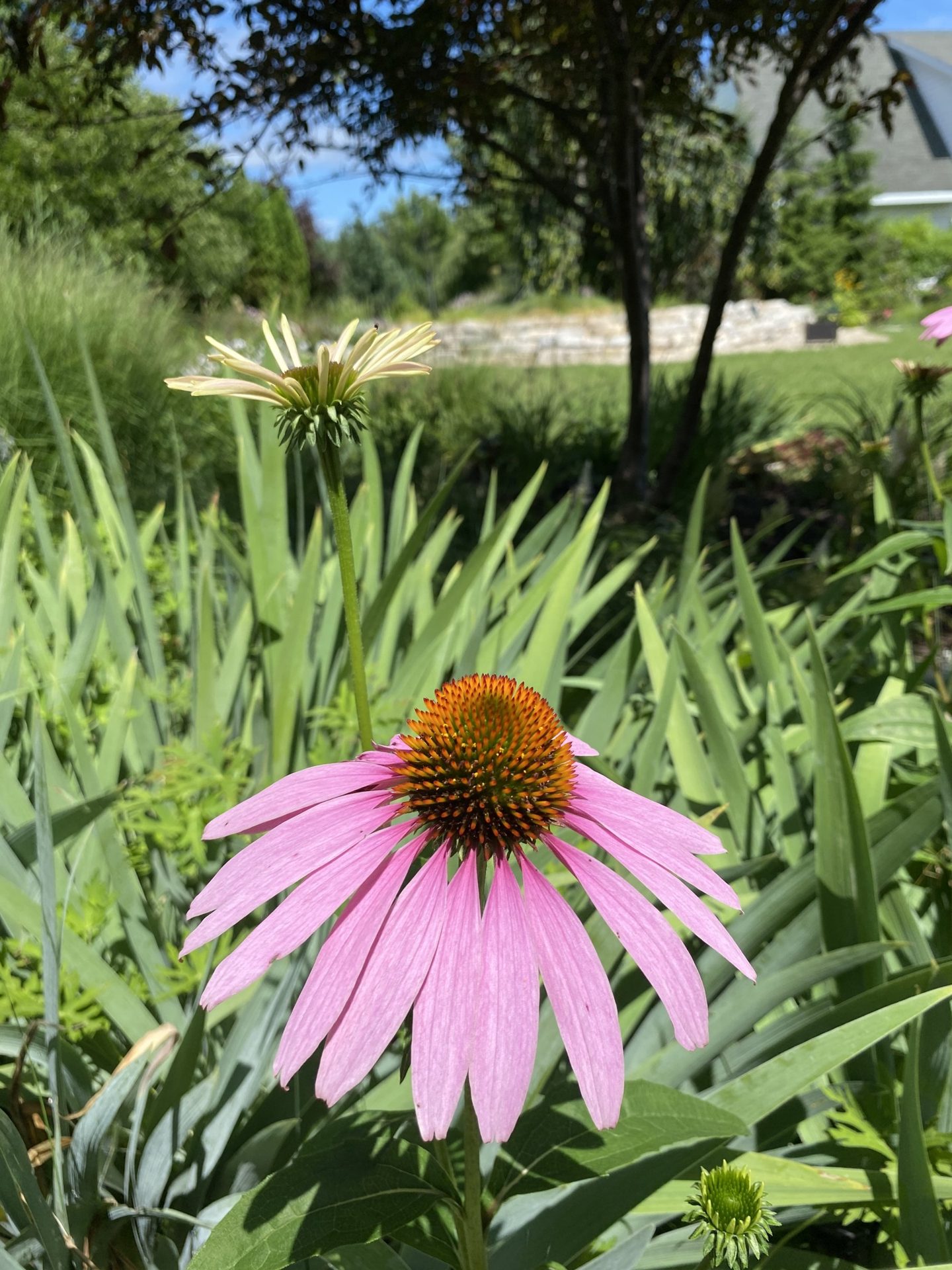 The Secret Garden of Door County (5 of 6)