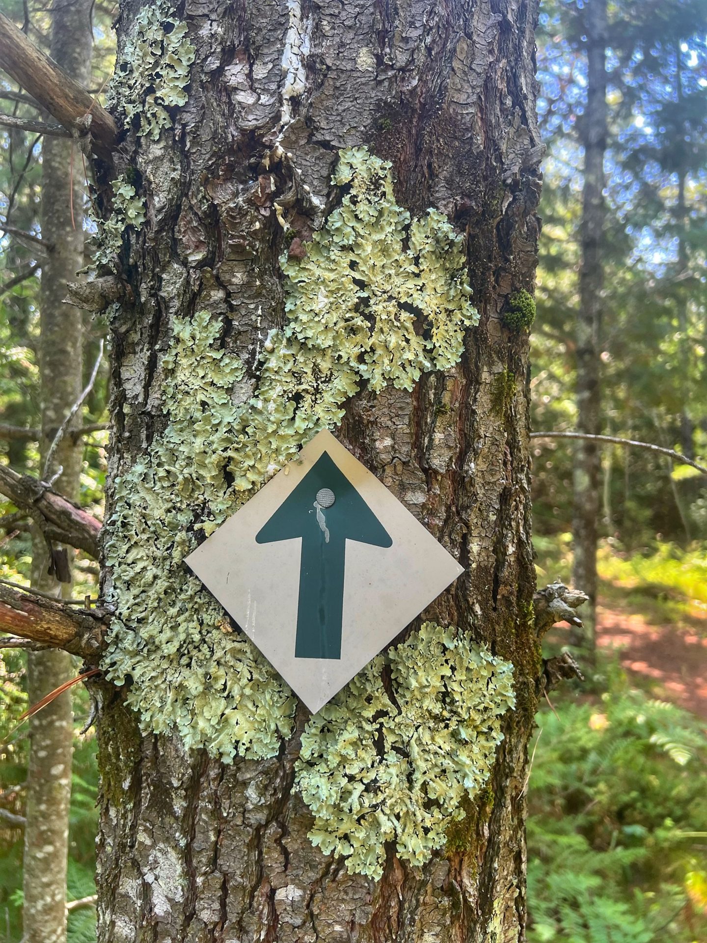 Three Springs Nature Preserve (4 of 6)